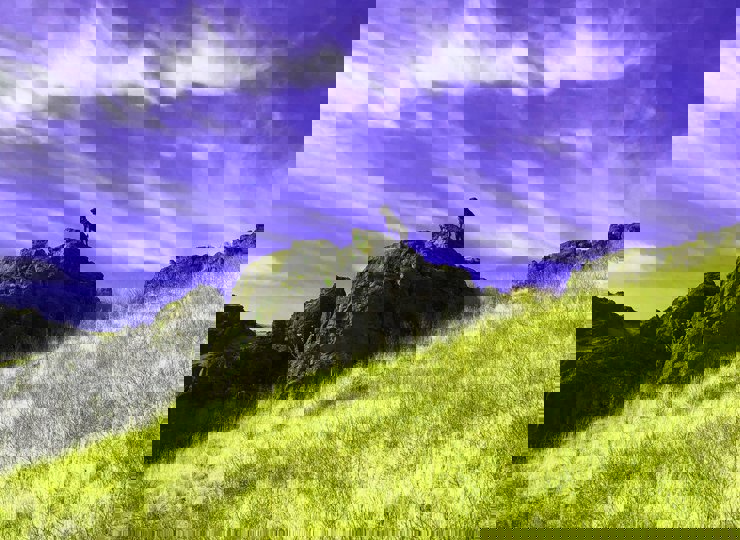 Cedarwoods Special Illusion (aka Gemma) gave one of the most picturesque points one could witness and on a blue bird days chukar hunt.  The covey was 50 yards below that enormous rock