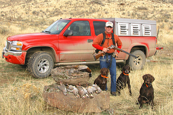 A limit of chukar and a rooster pheasant as a bonus bird.  Cedarwoods First Offense, Cedarwoods Neon Playgirl, and their daughter Cedarwoods Princess Josee (aka Bella) were the team for this hunt.  The youngster, Bella, produced the most finds on this hunt showing her two parents she had recieved their best genetic influence from the pair.