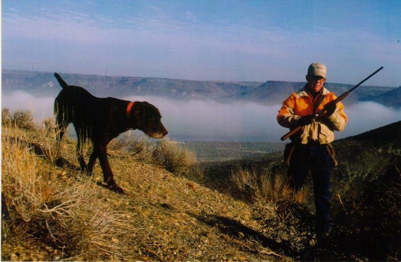 Cedarwoods Neon Playgirl in Idaho's Owyhee county.    Notice the fogged in Snake River valley in the background.