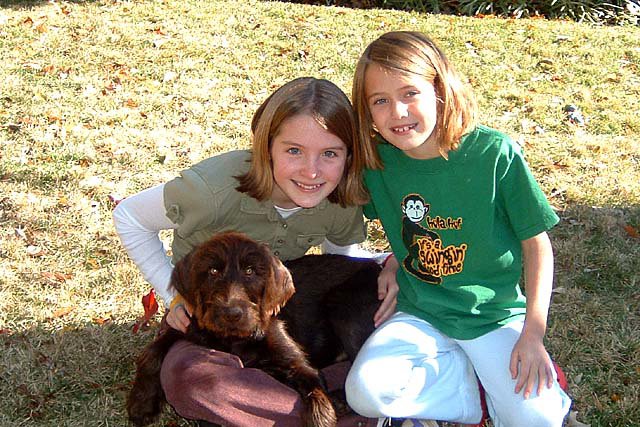 Joe Westervelt's beautiful daughters and their Cedarwood pudelpointer pup "Bosco" in Oklahoma.    See next picture to see how the 3 of them changed in a year.