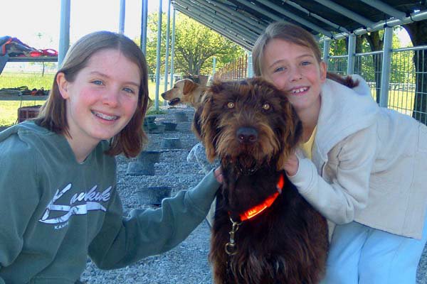 Joe Westervelts girls with a now grown Bosco.   Bosco seems to have changed more in a year than the girls. (see previous picture)  Bosco is now at the Smith Kennels beginning his field training.