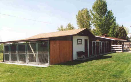 Our facility pages will hopefully give you a feel for our commitment to our dogs and our overall operation.  Cedarwood Kennels has 12 indoor/out door kennels.  The indoor portion is heated and adequate for winter conditions. There are 2 30X30 foot puppy pens with enclosed housing units.  The property is on 2 acres with a one acre bird field and on water site adjacent to the bird field to cool off the dogs in the summer.