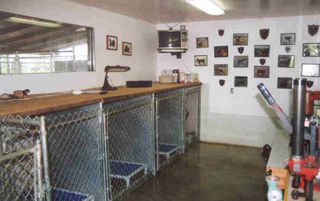 A view of the inside of the kennel facility; complete with reloaders, TV, pictures, and awards.    This is where I spend many evening hours sharing time with my dogs.  There are 4 floor drains for washdowns and sterilization purposes.  Kuranda dog beds keep the dogs up off the floor so all indoor kennels can be easily washed daily.
Many evenings are spent visiting with the dogs, watching sports videos, and reloading for the fall hunts.