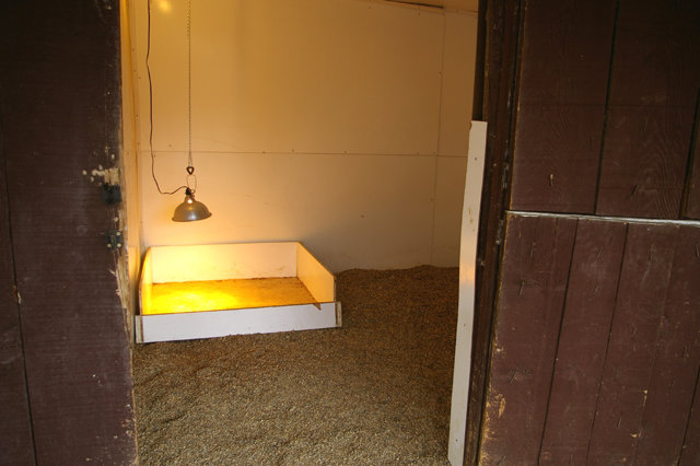 Each puppy pen has an attached enclosed puppy room with a heat lamp above the puppy bed.  The bed is formica lined for complete sterilization and clenliness purposes.  Again, there is 12 inches of pea-rock that is burned between litters.