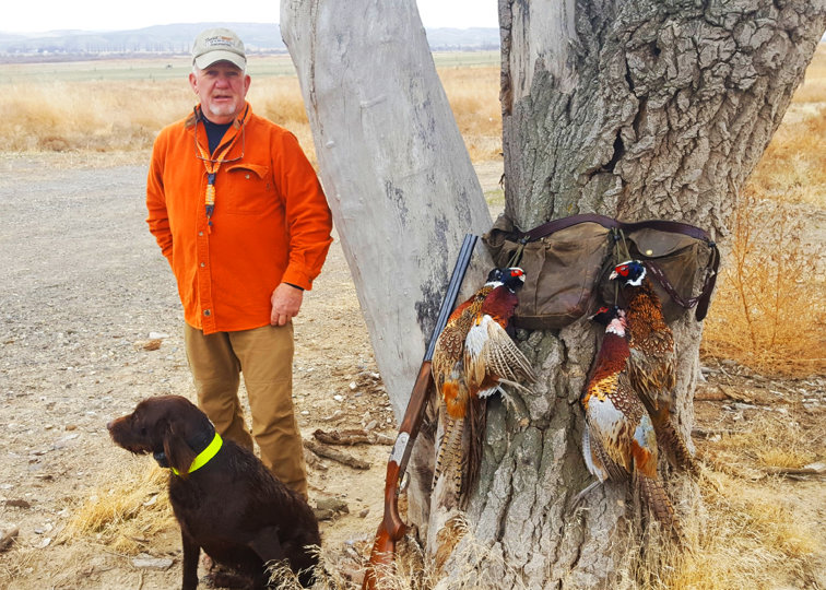 Still chasing these beautiful birds here in Idaho.  Cannot ever get enough of this or become tired of it.