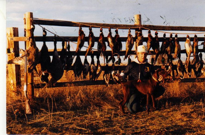 A much younger Bob Farris with his first breeding pudelpointer, Haverhills Axcell following a versatile hunting day in Idaho.    Pheasants, ducks and geese were usually the bounty on a hunt here in early fall back in the 80's.  Funny how these bounty-filled photos get replaced with memory of the dog as we mature through the hunting phases of life.