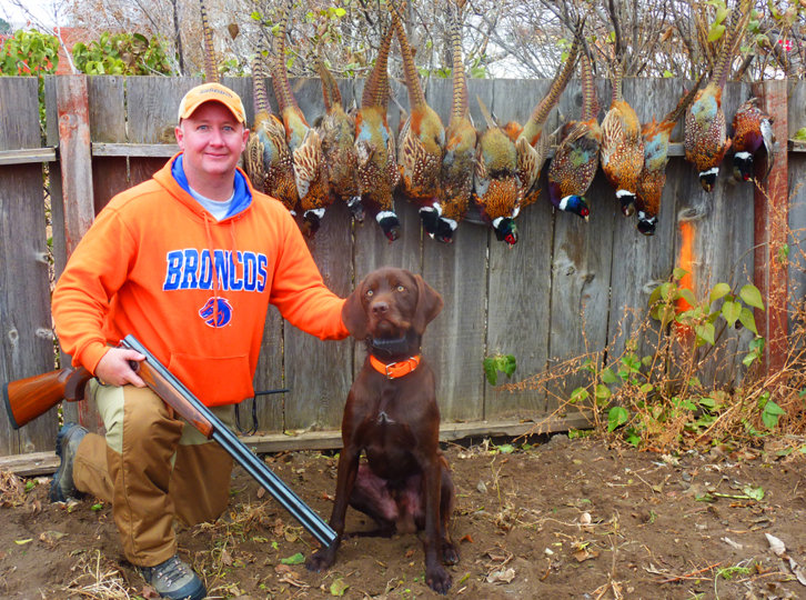 My son Bryce Farris joined me in North Dakota with his year old pudelpointer Hidden Acres Atlas (aka Romo) in 2012.  Since Bryce has been an avid Dallas Cowboy fan since childhood one can only imagine where Romo got his name.