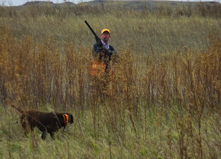 Alex Thompson approaching his dog Hazel in the "ready " position.  Too bad it was a hen.