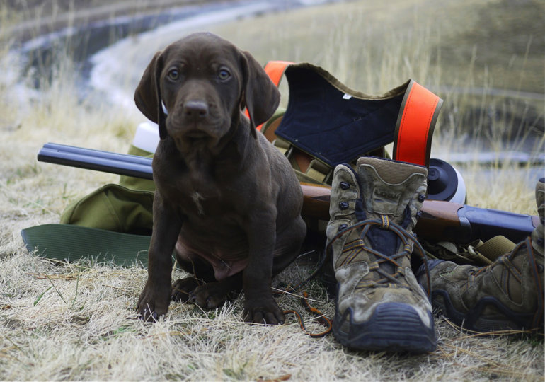 First hike took this little guy to a ridge well above the Grande Rhonde River one September morning.