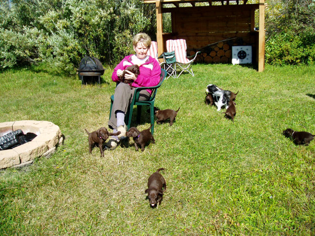 McCall is a wonderful place to take pups for some R & R away from home.  LaFaye takes them daily to the river for a field trip when we are there.