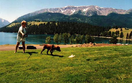 LaFaye Farris and 12 week old Cedarwoods Kauai Sunset (aka Ki) at Wallowa Lake in Oregon.  Joseph Mountain is in the background and this was the location where Chief Joseph's Nez Perce Indians spent their summers. Laffy is becoming quite the puppy trainer as can be seen here.
