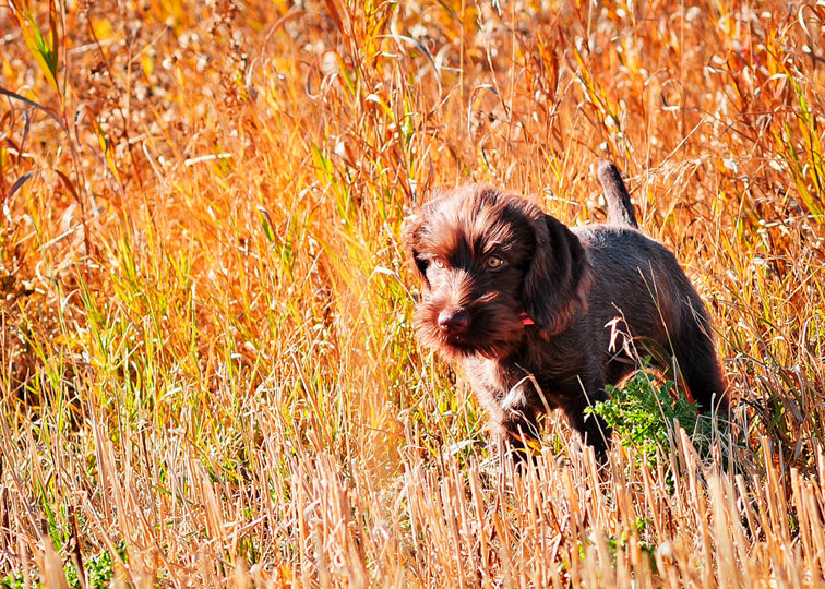 What a hairdo ????  Her intensity on point must be sending electrical impulses to her hair.