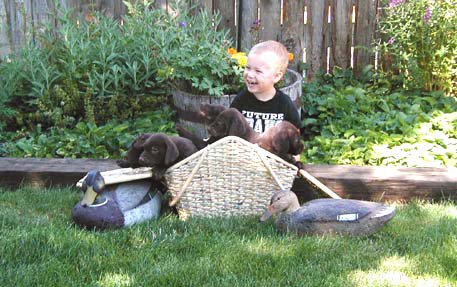 This future Idaho Vandal looks to have a future in dog training (he'd fair much better choosing to wear a Boise State sweatshirt, however, in my opinion).  Youngsters and puppies in the summertime are hard to beat for entertainment.