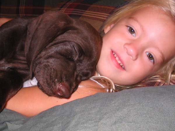 Jason Bever in Florida may have purchased a hunting dog, but his daughter seems to have stolen this pup's affection.    I dont know which is cuter, the pup or his daughter.  Actually, the little girl does have the edge.