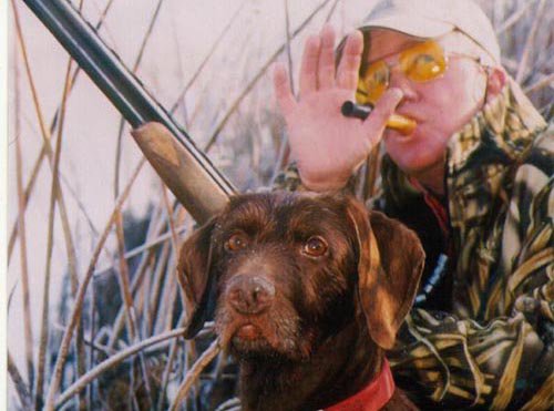 Bob Farris calling, with Cedarwoods Image of Jake (Jessie) wathing the circling mallards.    Jessie is both a NAVHDA Prize I NA & Prize I UT dog.