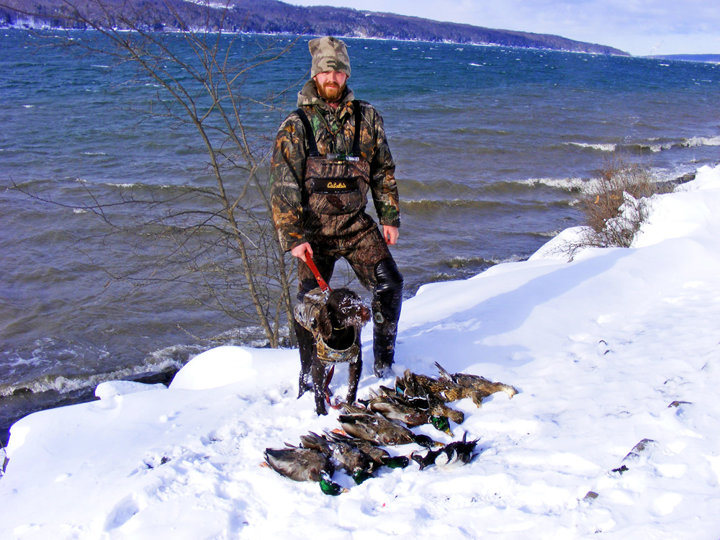 Hunting seaducks in the Atlantic takes an avid waterfowler with an avid retriever.  Dan Kremers and his 3 pudelpointers are just that.