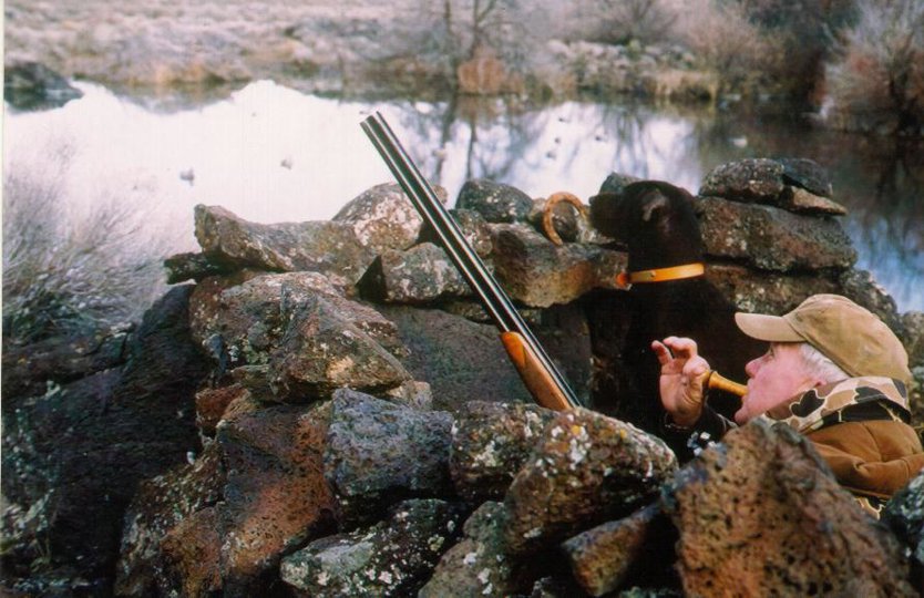 Bob Farris calling mallards from a rock blind as Cedarwoods First Offense (Tukr) watches the incoming birds work.    Idaho's Hagerman Valey is made up of lava beds and a rock blind makes for the best camouflaged concealment.