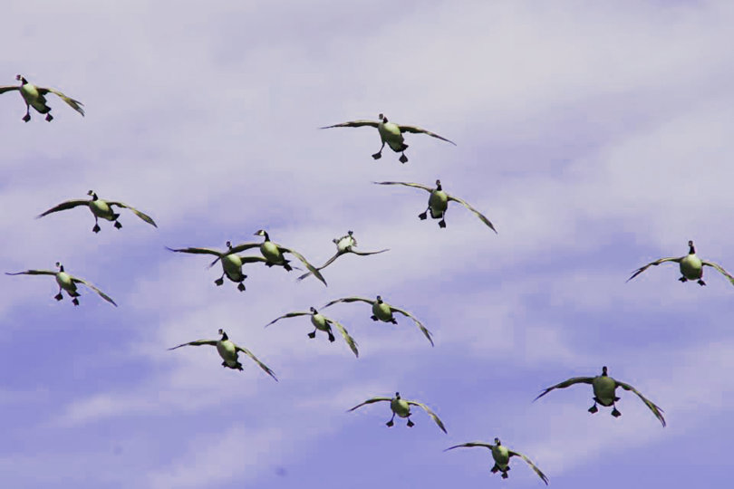 Canada's in range and locked up to land.  How much better can it get ??