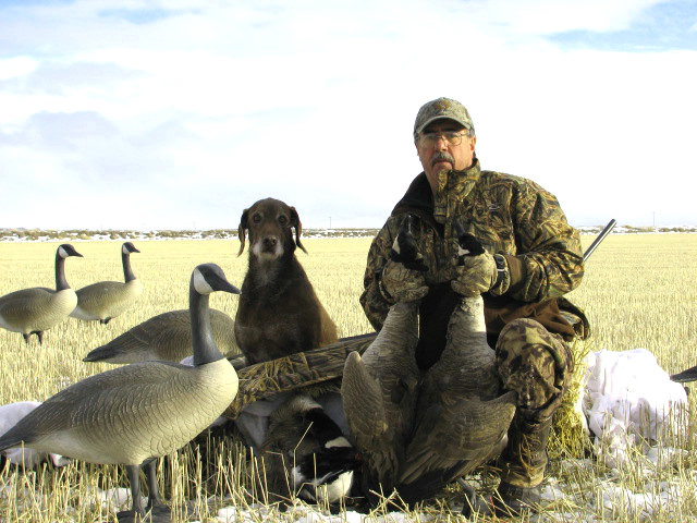 Goose hunting fields over decoys can be as exciting as it gets, especially when the greater northerns migrate in.