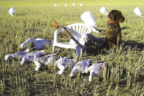 Hery sat next to me and under a white sheet during the days hunt.